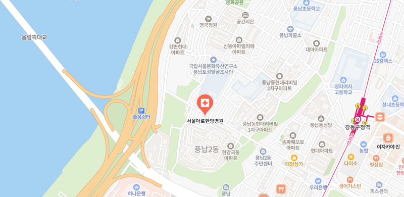 서울아로한방병원 위치 안내 지도